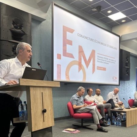 Intervention de Fabrice Dufresne lors du séminaire FEDOM