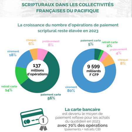 Infographie - rapport sur les moyens de paiement scripturaux dans les COM (…)