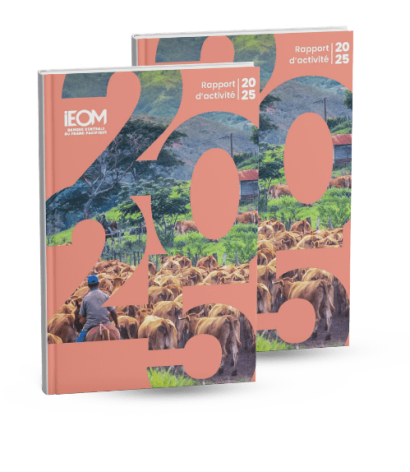 Le rapport d'activité 2025 de l'IEOM est disponible !