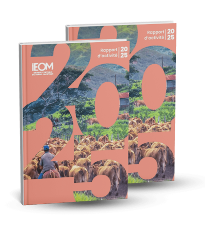 Le rapport d'activité 2025 de l'IEOM est désormais en ligne !