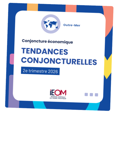 IEOM's 2025 Activity report is now online !