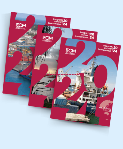 Les rapports annuels économiques 2024 de nos agences sont en ligne !