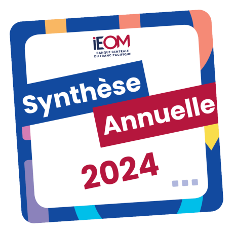 Retrouvez les synthèses annuelles 2024 de toutes les agences !