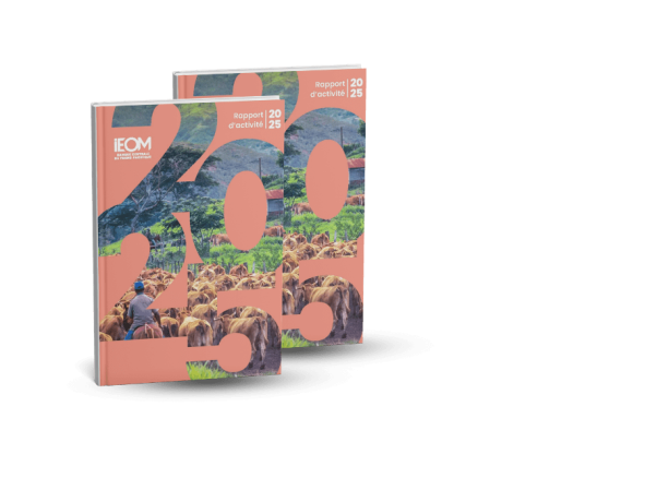 Le rapport d'activité 2025 de l'IEOM est disponible !
